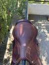 SELLE CWD 2gs mademoiselle A VENDRE 