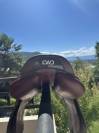 SELLE CWD 2gs mademoiselle A VENDRE 
