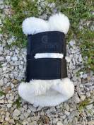 Protection dressage Kentucky 