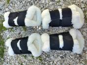 Protection dressage Kentucky 