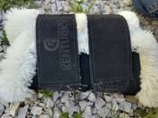 Protection dressage Kentucky 