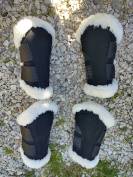 Protection dressage Kentucky 