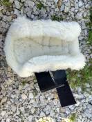 Protection dressage Kentucky 