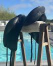 &Agrave; vendre &ndash; Selle Gaston Mercier Doline II noire &ndash; 16,5"