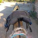 Selle mixte Hispano Hipica taille 17,5. Vendue nue.