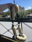 Licol en mouton 