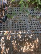 Dalle Stabilisation SAGUSTU sol CHEVAUX