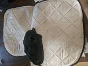 tapis poney