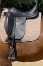 Selle Prestige 