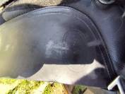 Selle Kent and Master Low Wither Dressage 17 