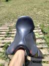Selle Kent and Master Low Wither Dressage 17 