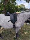 Selle Kent and Master Low Wither Dressage 17 