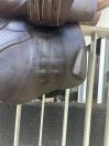 Selle mixte CWD