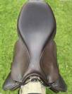 Sella mista Prestige Italia Golden star  17" - 2022