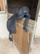 Selle dressage Wintec