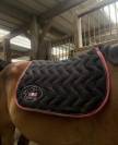 Lots 3tapis + un licol prix abordable urgent 