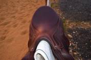 Selle Devoucoux 2025 monoquartier