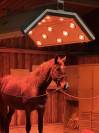 Solarium 24 lampes - SUNDANCE HORSE SOLARIUMS