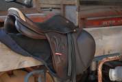Sella mista Prestige Italia Arezzo 17" - 2019
