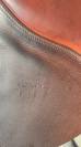 Selle Renaissance 2022