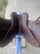 selle Antares Contact  17"