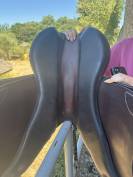Selle S&eacute;oul forestier 