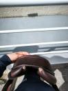 selle Antares Signature 17,5