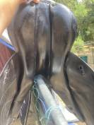  Selle Chiberta o
