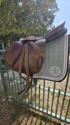Selle Voltaire Design Essentials Monoquartier 17,5" 