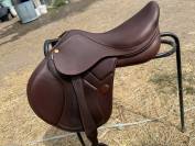 Selle acavallo Modigliani 17