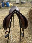Selle acavallo Modigliani 17