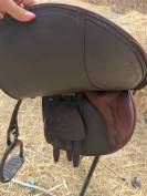 Selle acavallo Modigliani 17