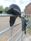Sella da dressage Eric Thomas  17.5" - 2019