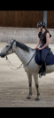 Selle de dressage