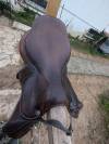 Selle monoquartier SCB