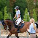 Chemise de concours PALAIS ROYAL - Cavalliera - Manches courtes