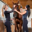 Top technique &agrave; manches longues Performance - Cavalliera - Confort sup&eacute;rieur