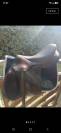 Selle d'obstacles Arion 