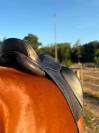 Selle dressage Herv&eacute; Godignon One noir 17,5