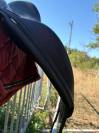 Selle dressage Antar&egrave;s Cadence