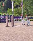 OBSTACLE OXER