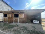 Boxes chevaux 