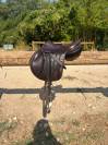 SELLE BOECKLEO FORESTIER