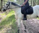 Selle Platinium Dressage 17&rsquo;