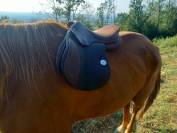 Selle Meyer 17,5