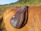Selle Meyer 17,5