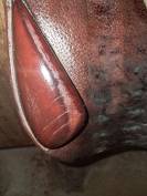 Selle obstacle Delgrange