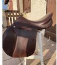 Sella mista Prestige Italia Golden star 17" - 2017