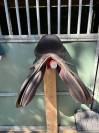 Selle norton marron synth&eacute;tique et cuir