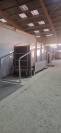 Tapis roulant Hippocenter 